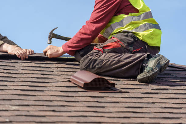 Best Roof Gutter Cleaning  in Burnham, PA