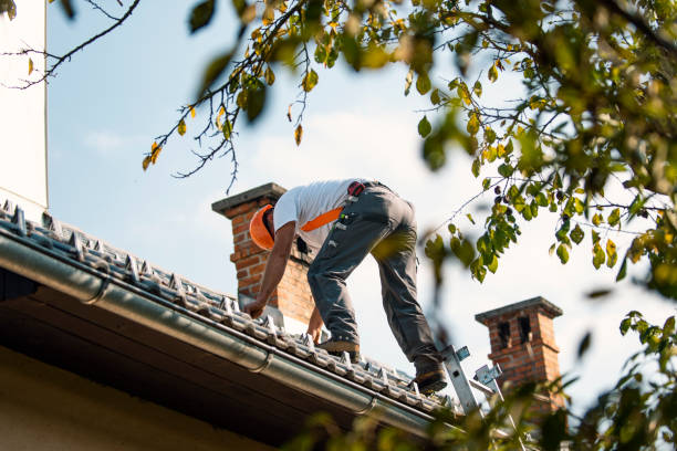 Best Roof Maintenance Services  in Burnham, PA