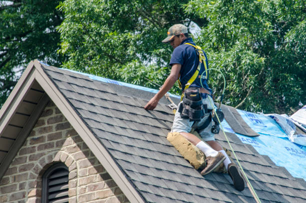Best Gutter Installation and Roofing  in Burnham, PA